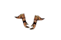Dragon Gloves