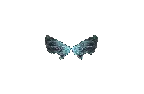 Small Wings of Elf