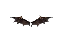 Wings of Satan