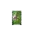Open Access Ticket to Chaos Castle