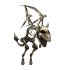 Pet Skeleton