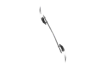 Berdysh