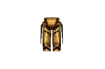 Bronze Pants